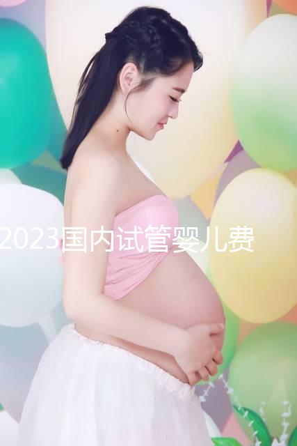 2023國(guó)內(nèi)試管嬰兒費(fèi)用明細(xì)表一覽，4大項(xiàng)目不同花費(fèi)get
